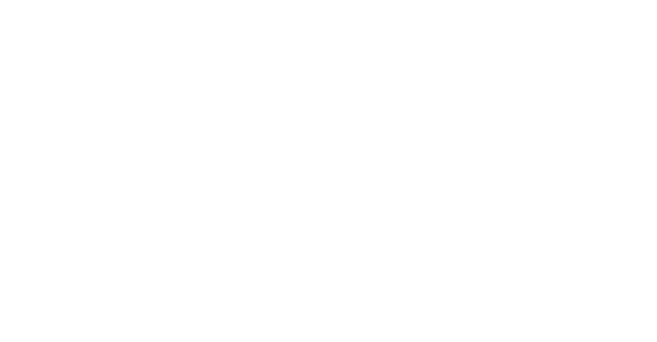 Swedish Law and Informatics Research Institute